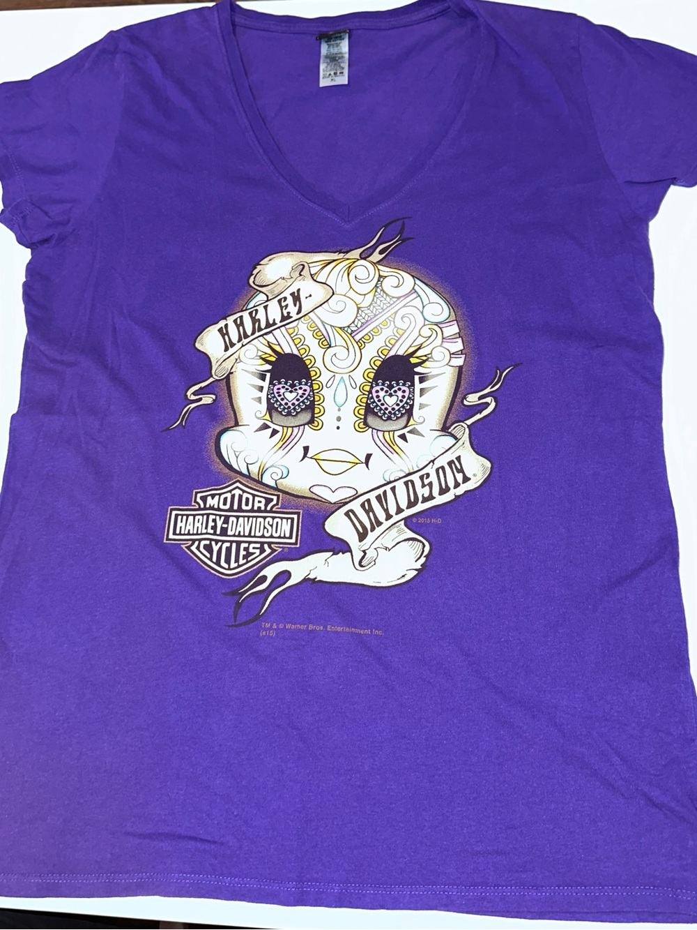Harley-Davidson Looney Tunes Tweety Mexico T Shirt
